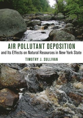 Timothy J. Sullivan - Air Pollutant Deposition and Its Effects on Natural Resources in New York State, Inbunden