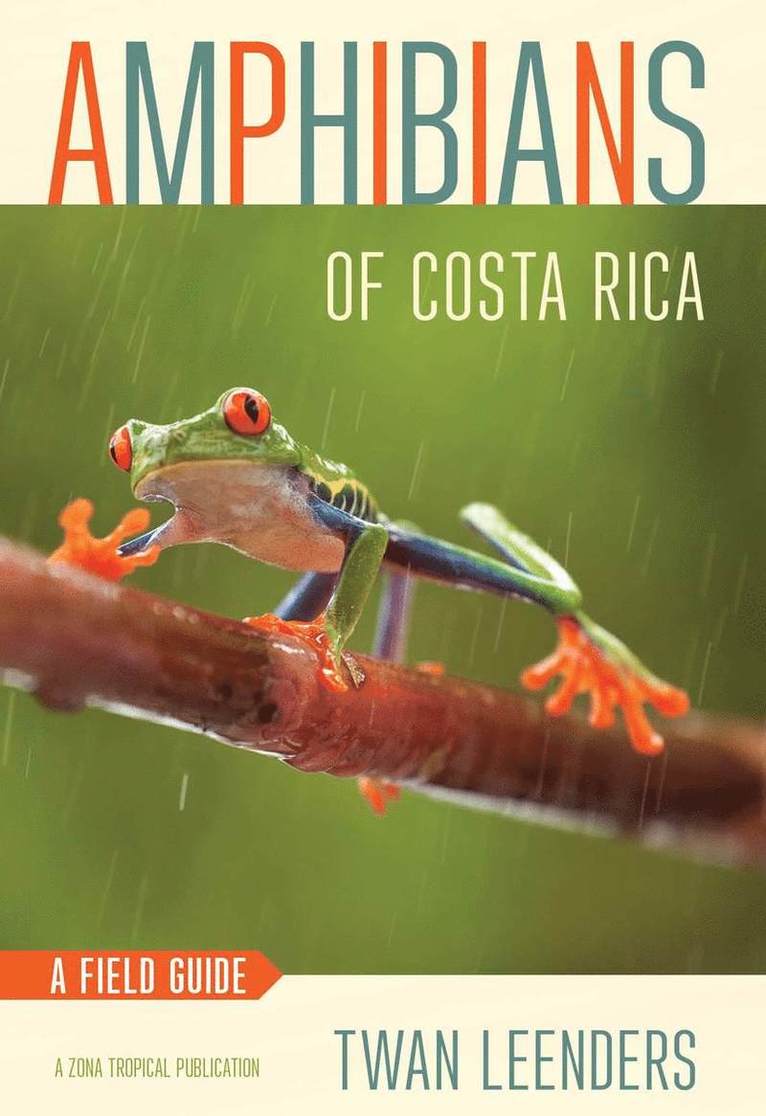 Amphibians of Costa Rica 1