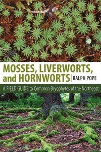 bokomslag Mosses, Liverworts, and Hornworts