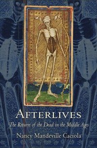 bokomslag Afterlives