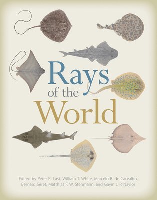 Rays of the World 1