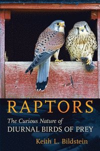 bokomslag Raptors