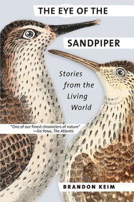 Brandon Keim - Eye of the Sandpiper, Häftad