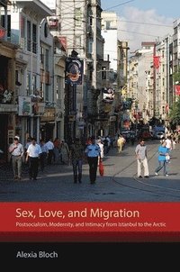 bokomslag Sex, Love, and Migration