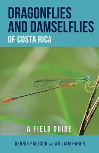 bokomslag Dragonflies and Damselflies of Costa Rica