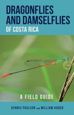 Dragonflies and Damselflies of Costa Rica 1