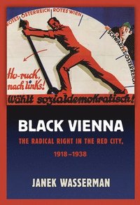bokomslag Black Vienna