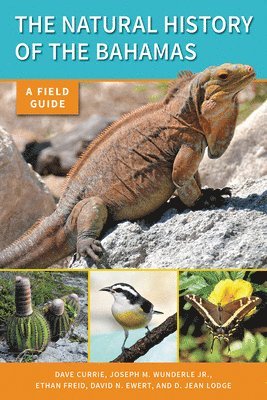 bokomslag Natural History of The Bahamas