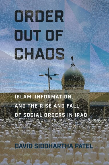 bokomslag Order Out of Chaos