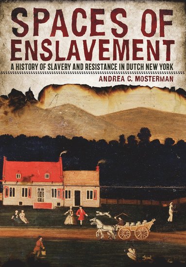 bokomslag Spaces of Enslavement