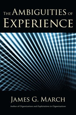 bokomslag Ambiguities of Experience