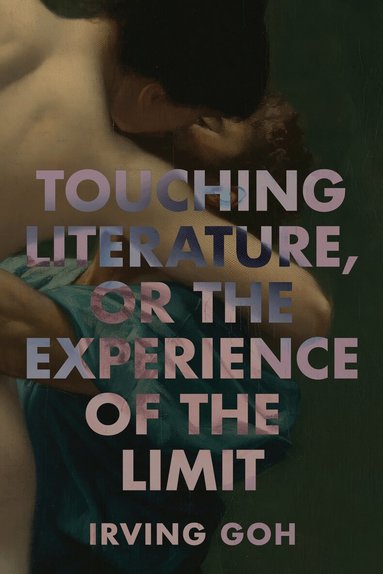 Irving Goh - Touching Literature, or the Experience of the Limit, Inbunden