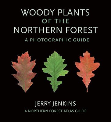 Woody Plants of the Northern Forest 1