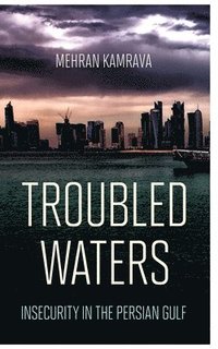 bokomslag Troubled Waters
