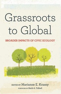 bokomslag Grassroots to Global