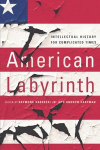 bokomslag American Labyrinth