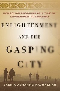 bokomslag Enlightenment and the Gasping City
