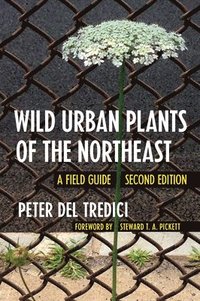 bokomslag Wild Urban Plants of the Northeast