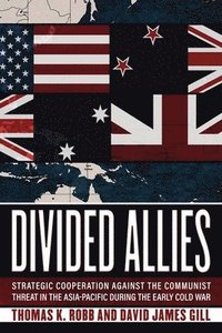 bokomslag Divided Allies