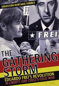 bokomslag Gathering Storm