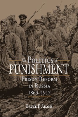 bokomslag The Politics of Punishment