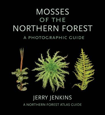 bokomslag Mosses of the Northern Forest