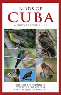 bokomslag Birds of Cuba