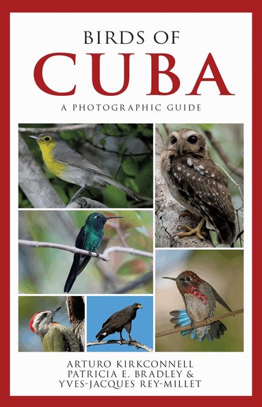 Arturo Kirkconnell, Patricia E. Bradley, Yves-Jacques Rey-Millet - Birds of Cuba, Häftad