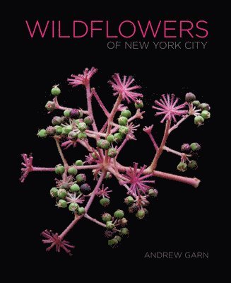 Andrew Garn - Wildflowers of New York City, Inbunden