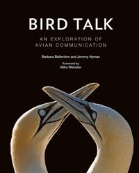 bokomslag Bird Talk