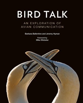 Barbara Ballentine, Jeremy Hyman, Mike Webster - Bird Talk, Inbunden