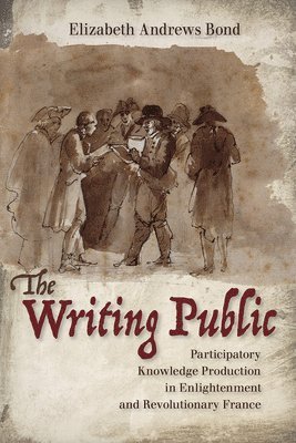 bokomslag Writing Public