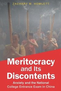 bokomslag Meritocracy and Its Discontents