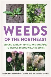 bokomslag Weeds of the Northeast