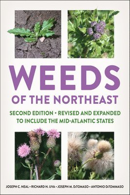 Weeds of the Northeast 1