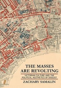 bokomslag Masses Are Revolting