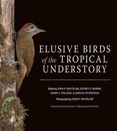 John P. Whitelaw, Jeffrey D. Brawn, Henry S. Pollock, John W. Fitzpatrick - Elusive Birds of the Tropical Understory, Inbunden