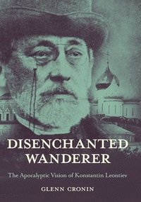 bokomslag Disenchanted Wanderer
