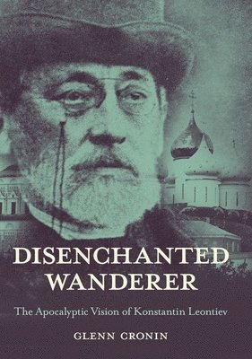 Disenchanted Wanderer 1