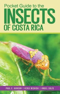 bokomslag Pocket Guide to the Insects of Costa Rica