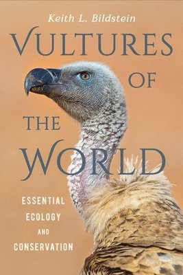 bokomslag Vultures of the World