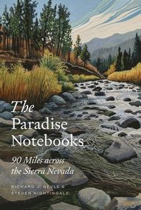 bokomslag The Paradise Notebooks