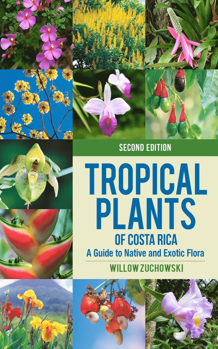 Tropical Plants of Costa Rica 1