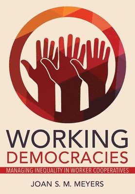 bokomslag Working Democracies