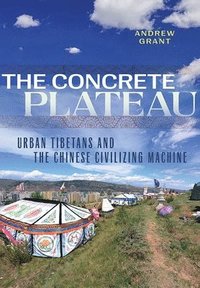 bokomslag The Concrete Plateau