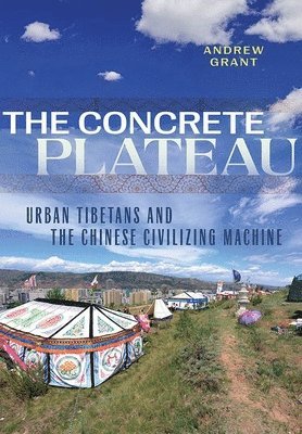 bokomslag Concrete Plateau