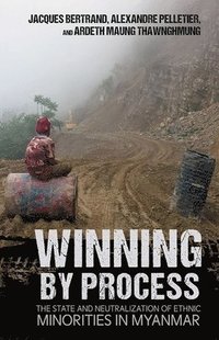 bokomslag Winning by Process