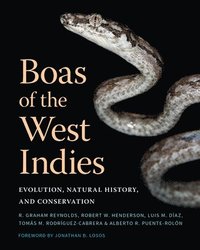 bokomslag Boas of the West Indies