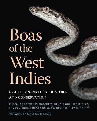 Boas of the West Indies 1