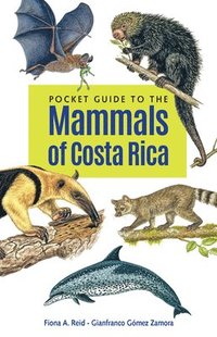 bokomslag Pocket Guide to the Mammals of Costa Rica